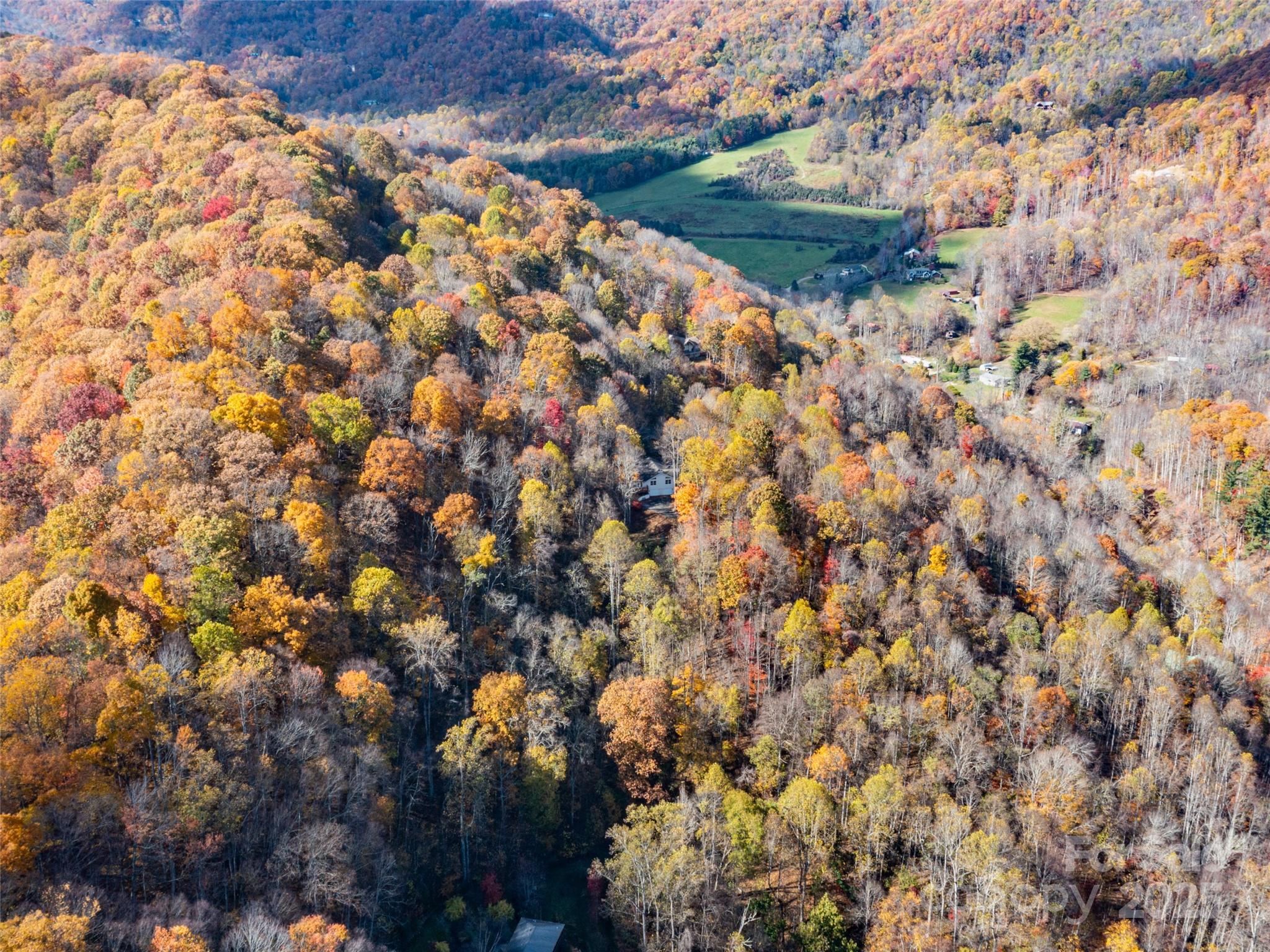 Villages Of Plott Creek - Land