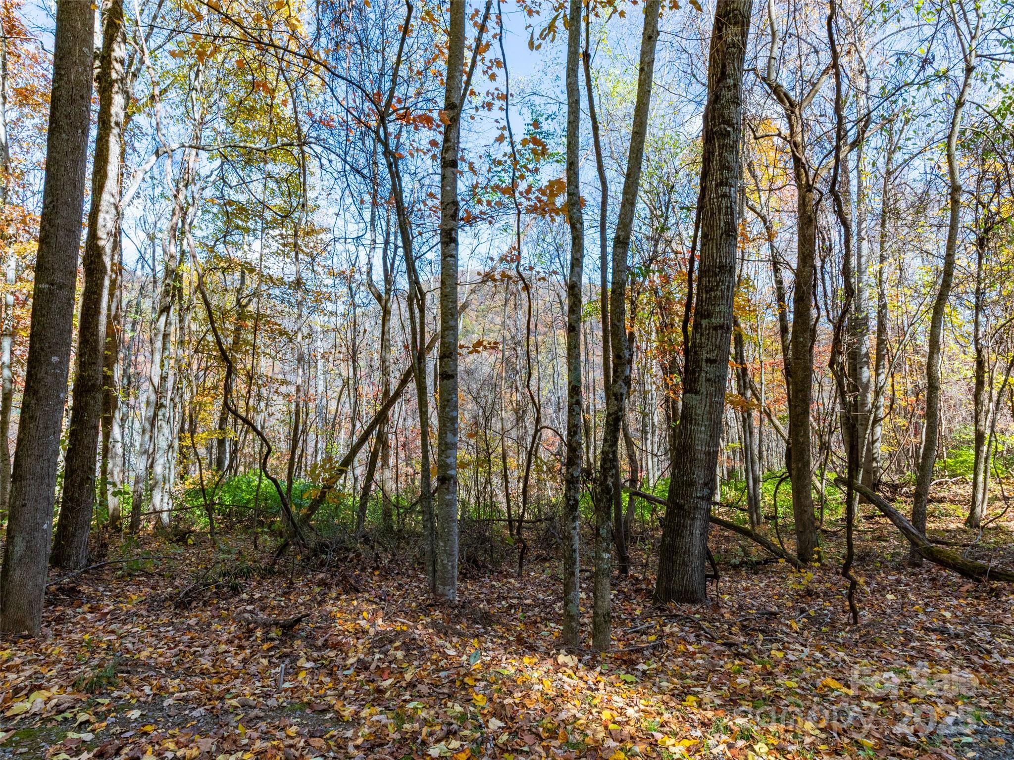 00 Village Lane Lot 1