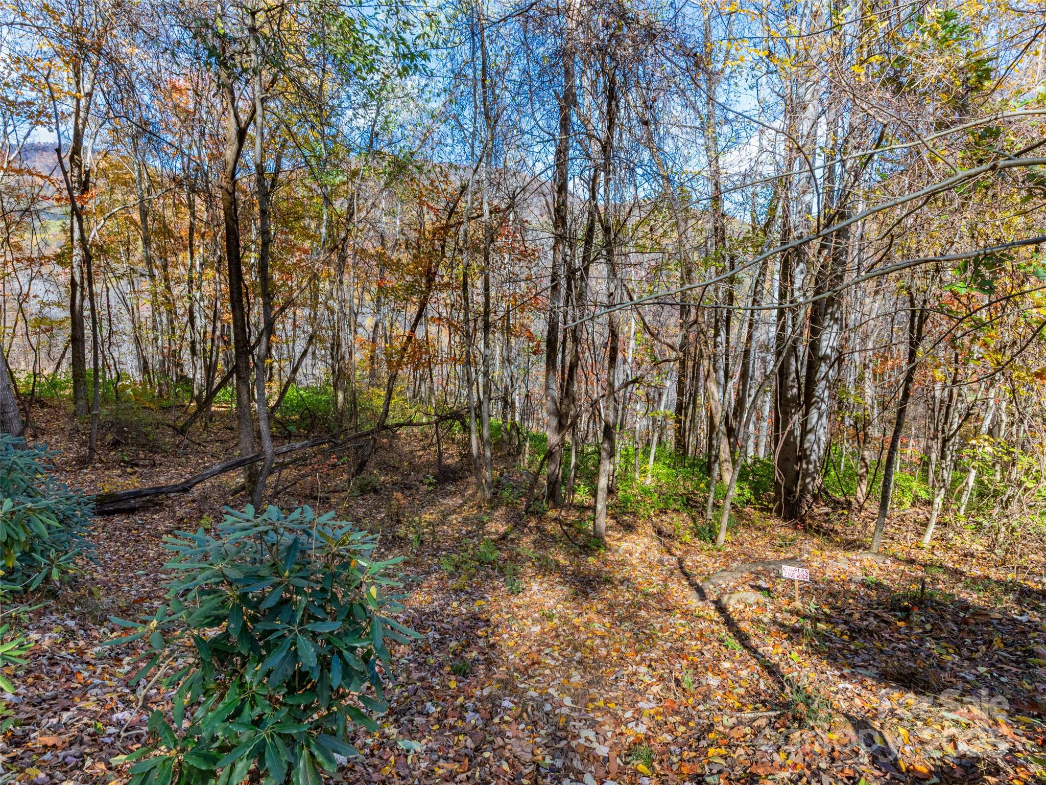 00 Village Lane Lot 1