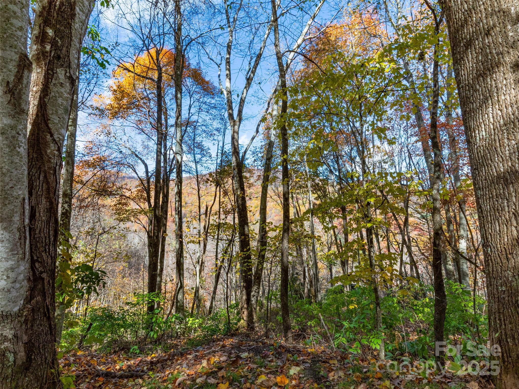 00 Village Lane Lot 1