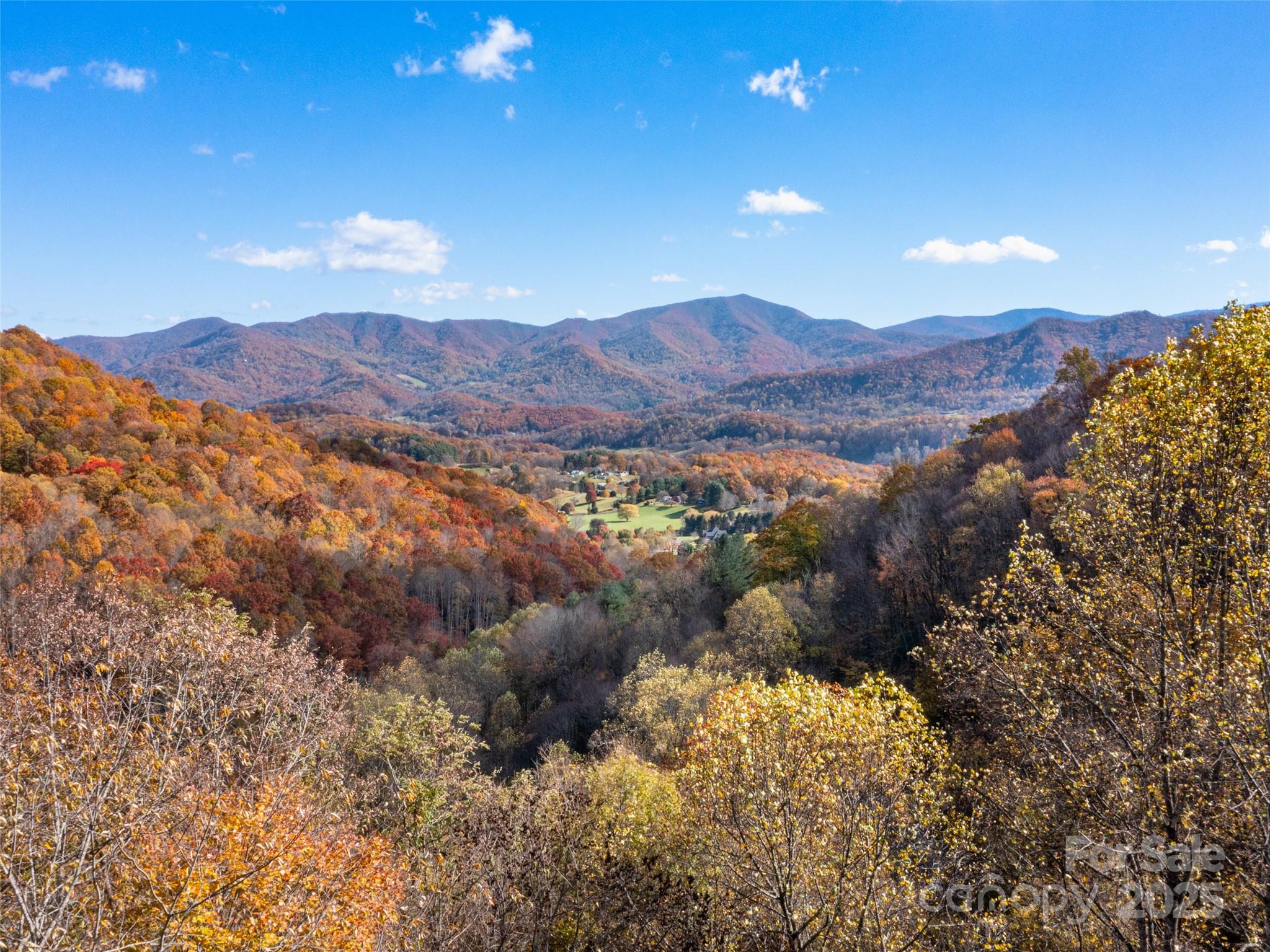 Villages Of Plott Creek - Land