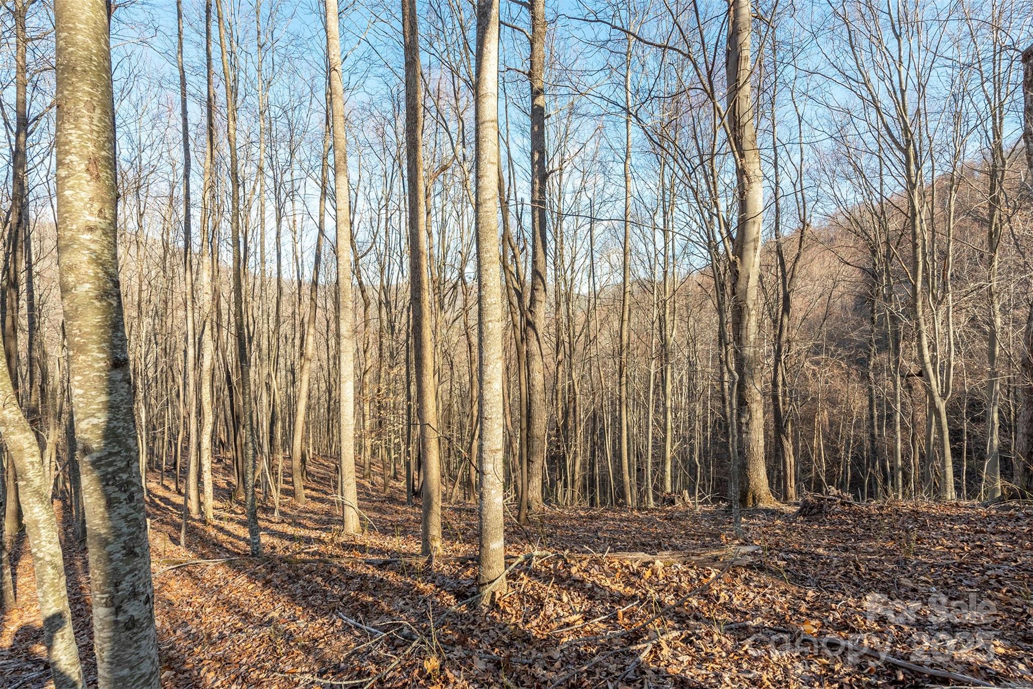 885 Stoney Stream Lane