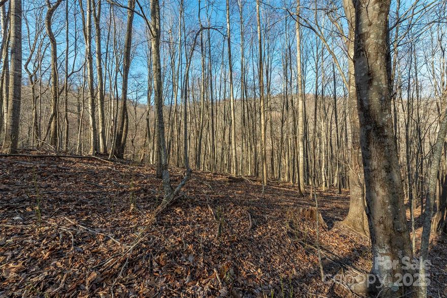 Passed Perc Test For 5 Bedrroms with LRM (Soil Scientist). This private lot is a unique opportunity to build your mountain home on one of the largest remaining lots available within the upscale Avery Park subdivision! At almost 4 acres, several areas of this property are level and should make for an easy build. An old logging road provides direct access to the community's centralized common grounds. Enjoy hiking trails right outside your door! Community features include a fishing pond, tennis courts, a playground, and an outdoor pool! Only 20 minutes from Biltmore and 30 minutes to downtown Asheville, this is a perfect location for your dream home.