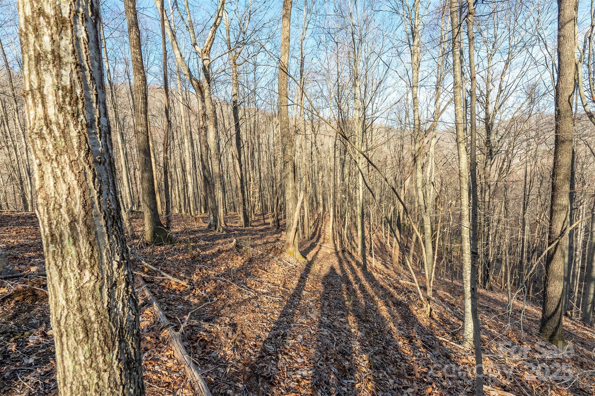 885 Stoney Stream Lane