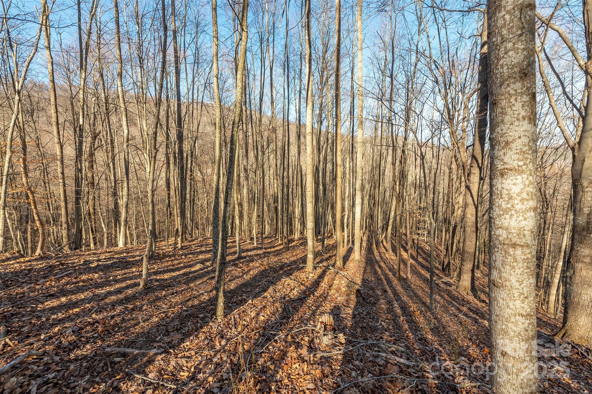 885 Stoney Stream Lane