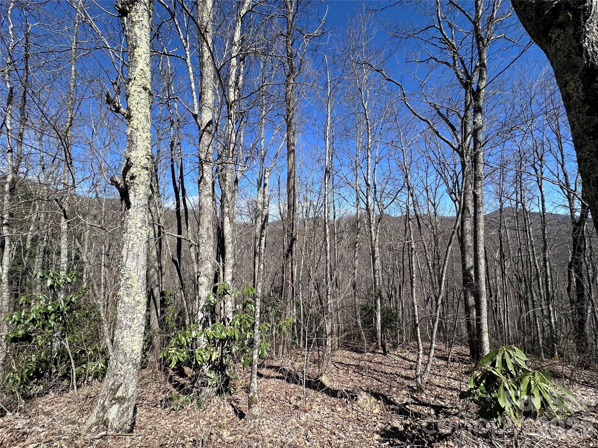 Lot 43 Huckleberry Drive