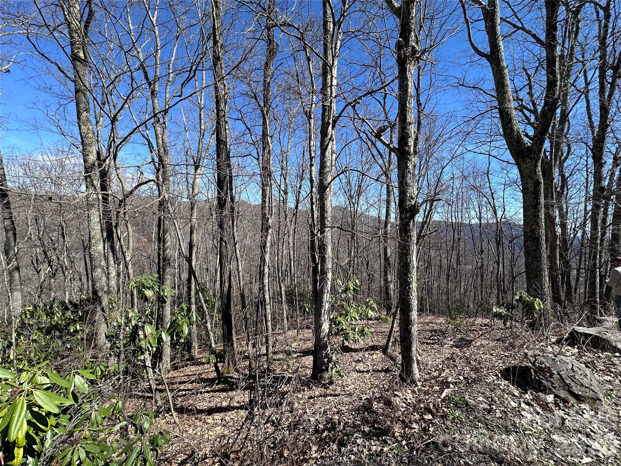 Lot 43 Huckleberry Drive