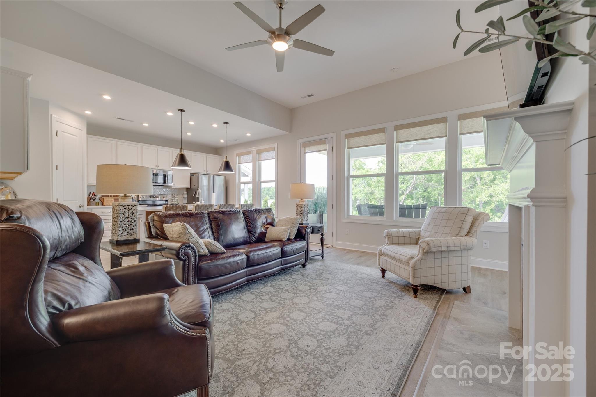 Handsmill on Lake Wylie - Residential