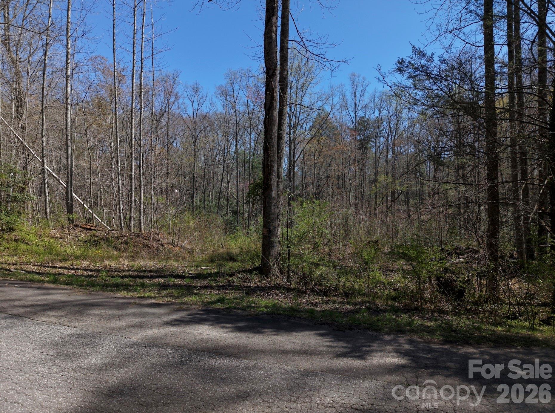 4659 Cedar Brook Lane