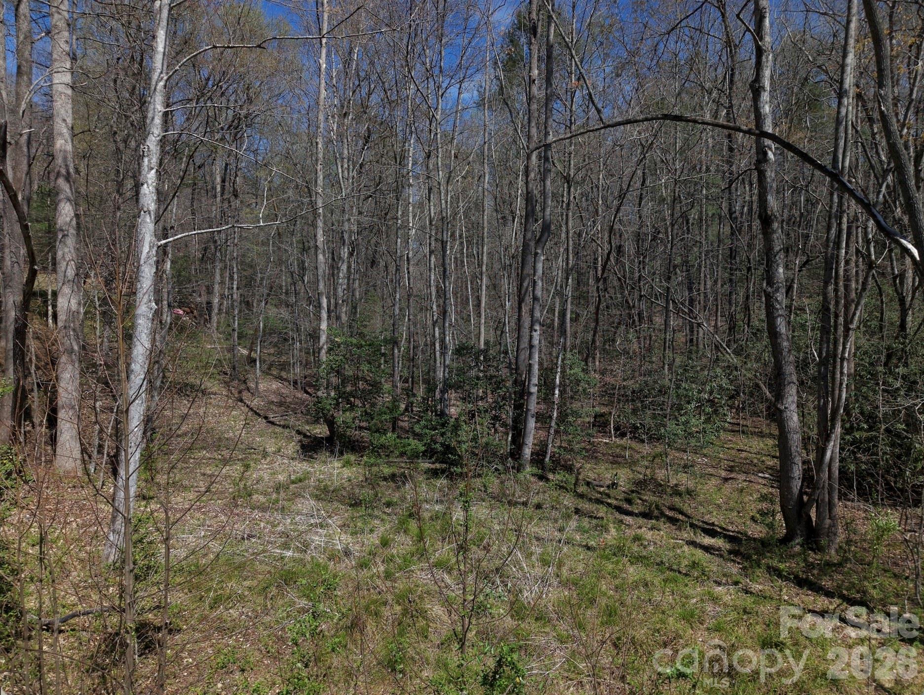 4659 Cedar Brook Lane