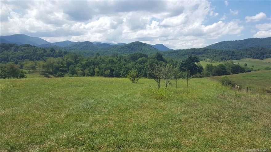 Gorgeous 23 acre tract with amazing views and a mix of pasture and woods. Seller has put a great road into the whole property and there is not a steep point anywhere! Equestrian estate, potential subdivision or for your own dream home! Come see, you will not be disappointed.