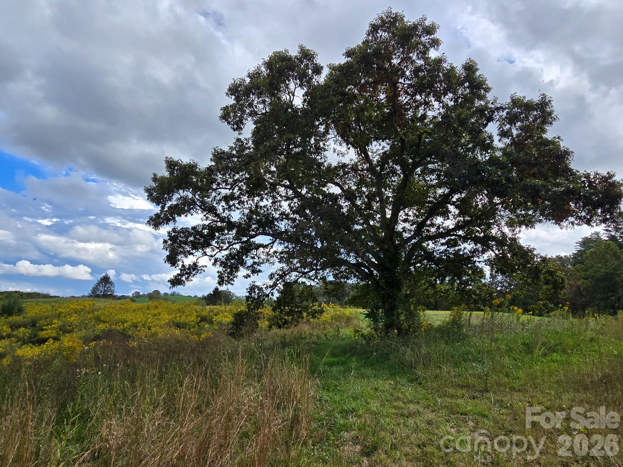 128 Cook Lane (25 Acres)