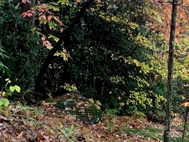 LOT 149 WILLOW Bend 149