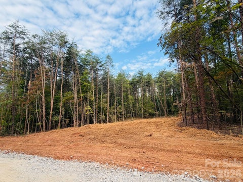Photo of 3542 Vilas Drive #2, Claremont, NC 28610 (MLS # 4431527)