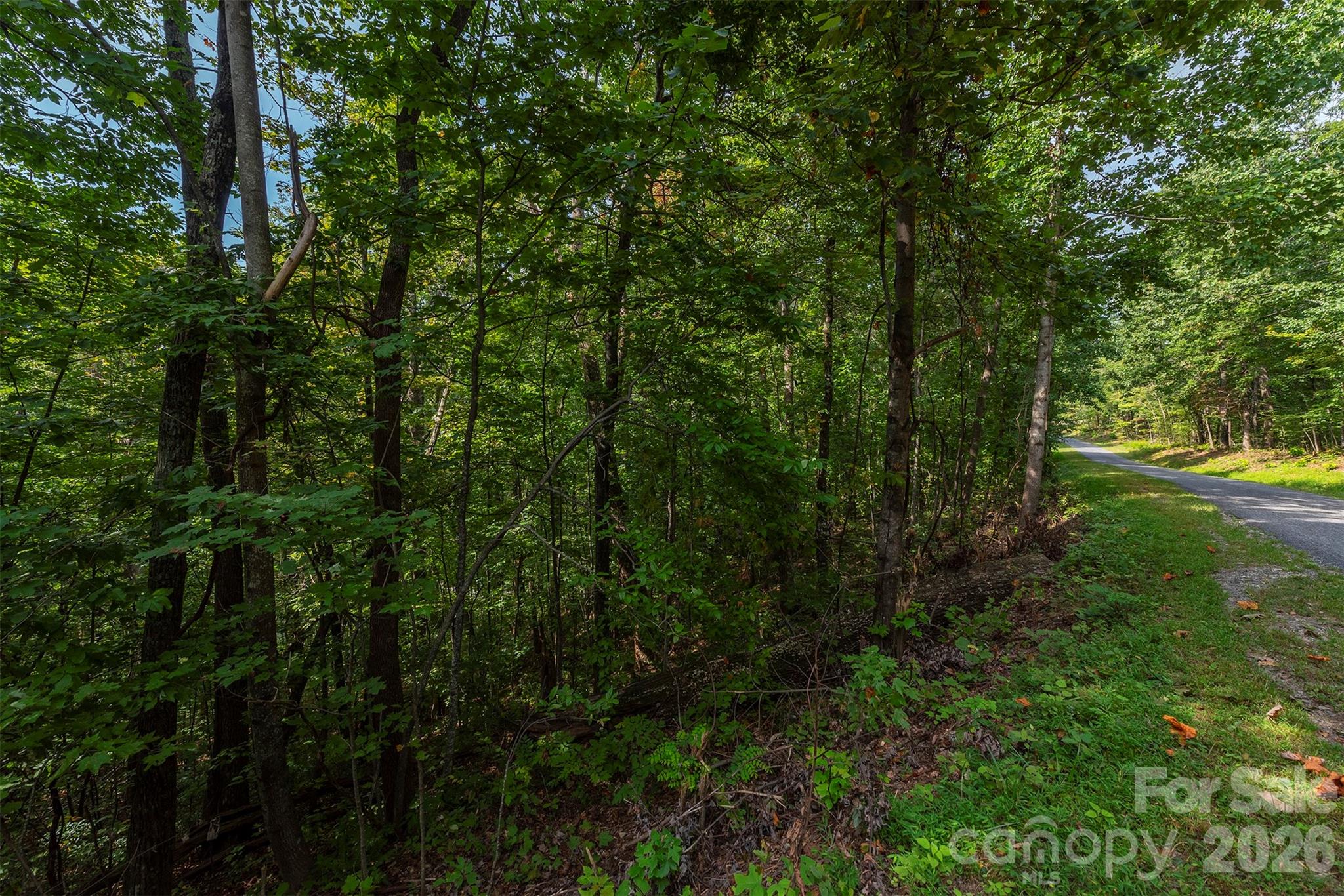 Gateway Mountain - Land