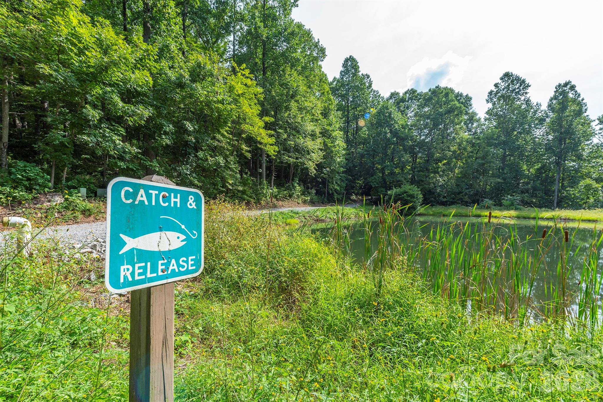 Gateway Mountain - Land