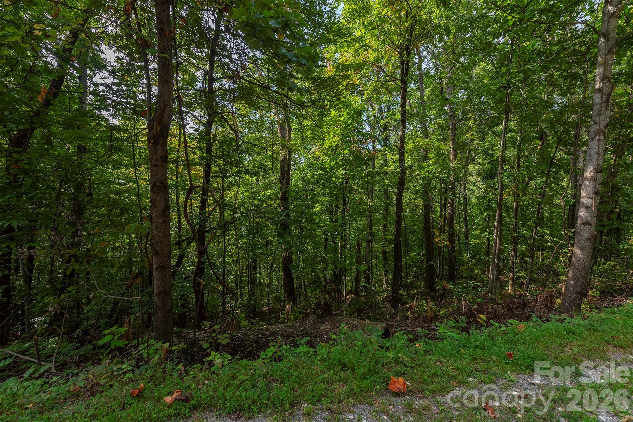 Gateway Mountain - Land