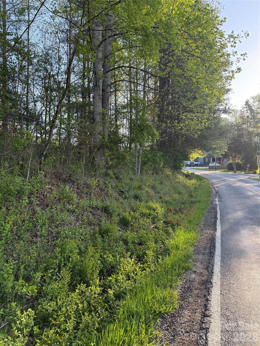 This is an 10 upset bid process. The city recently rezoned this lot to NMX, allowing a wide variety of commercial uses or high density residential. The entire parcel was recently annexed to corporate limits, GIS will be changed to reflect that.

Please contact listing agent to submit bids.
