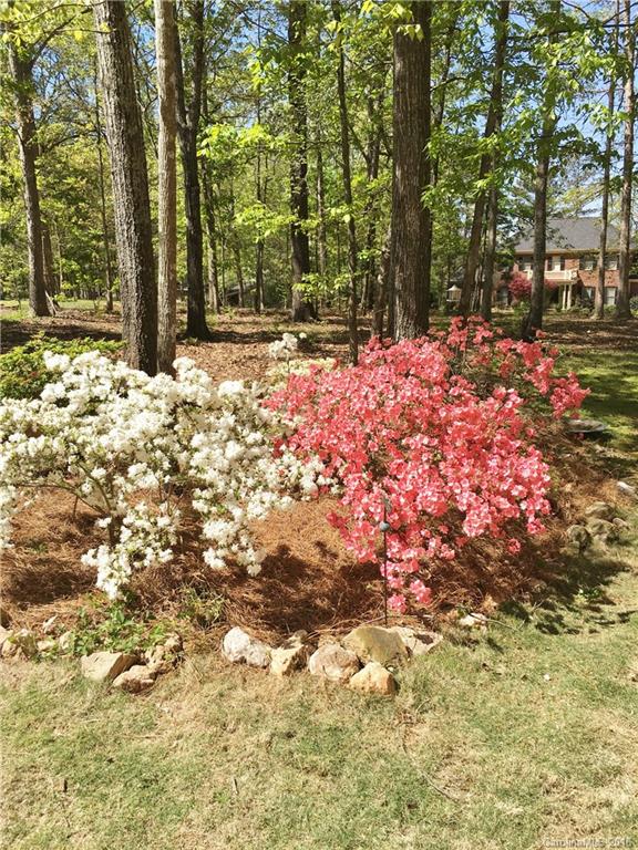 Springlake Estates - Residential