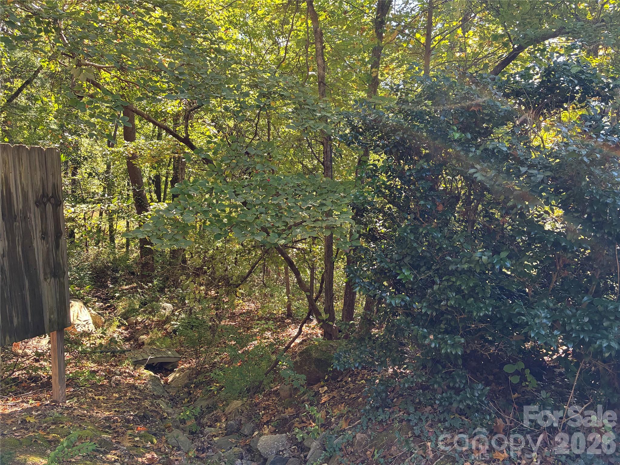 99999 Cliffview Drive