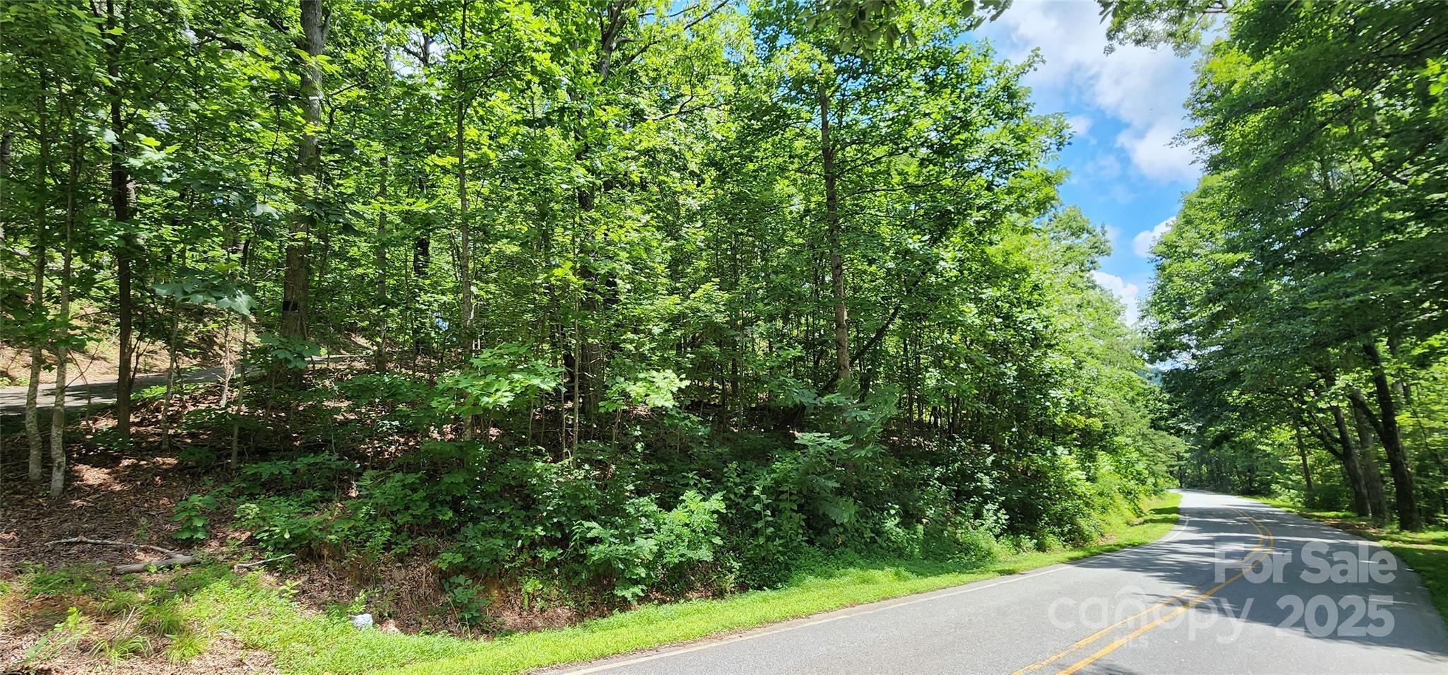 Lot 35 White Oak Mountain Road