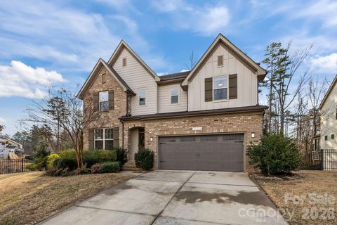 Photo of 18229 Studman Branch Avenue, Charlotte, NC 28278 (MLS # 4344472)