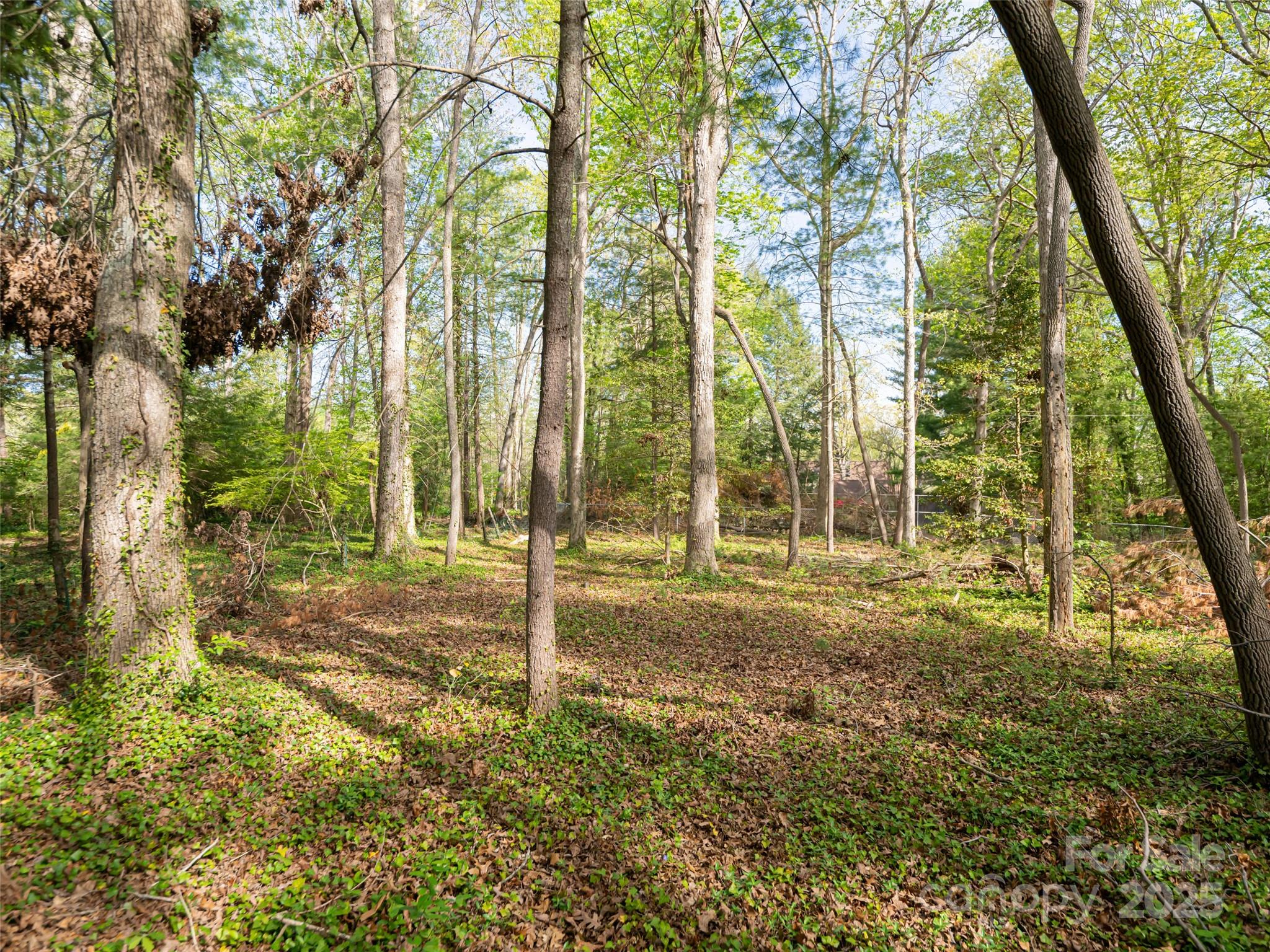 Biltmore Forest - Residential