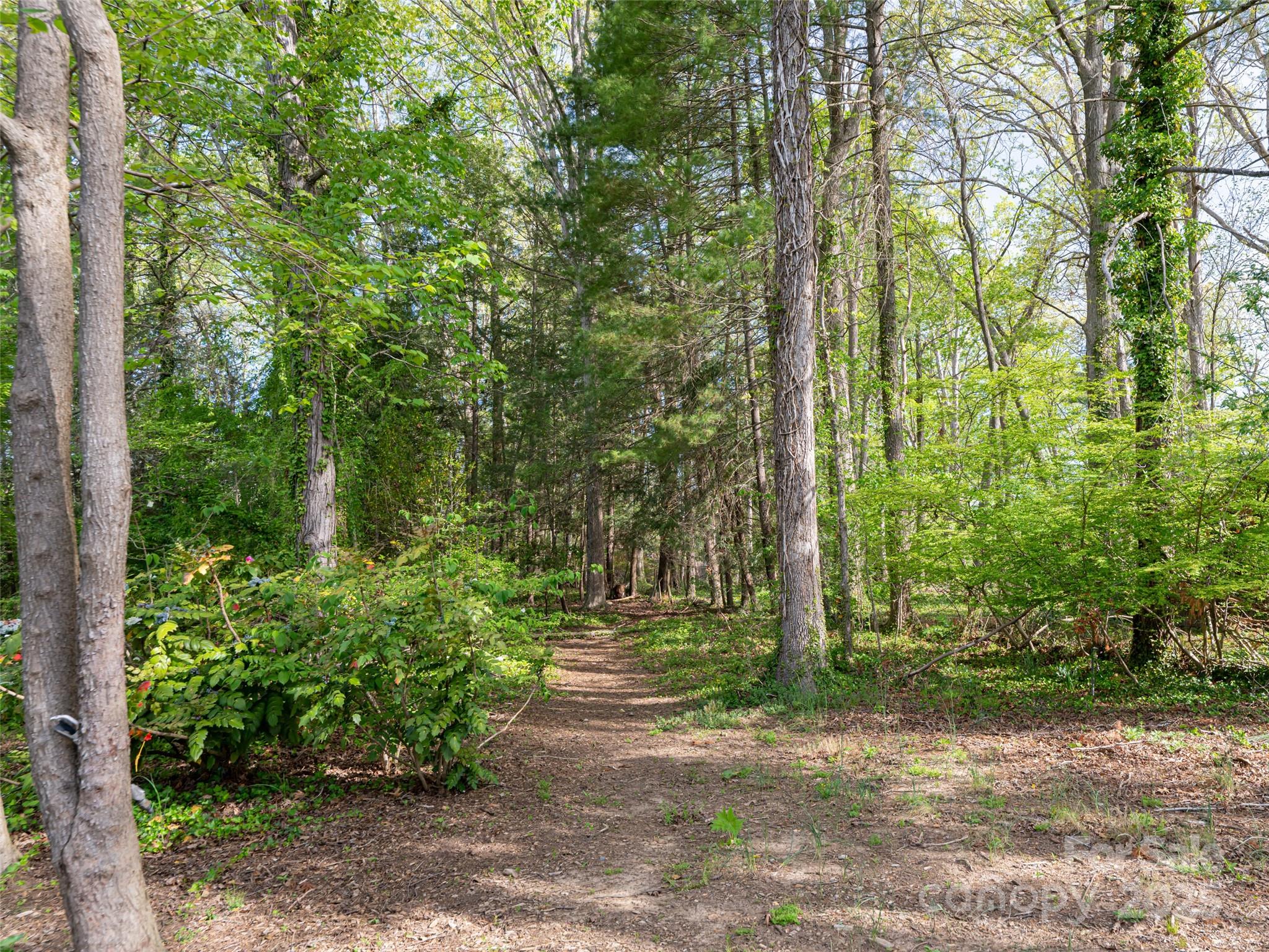 Biltmore Forest - Residential