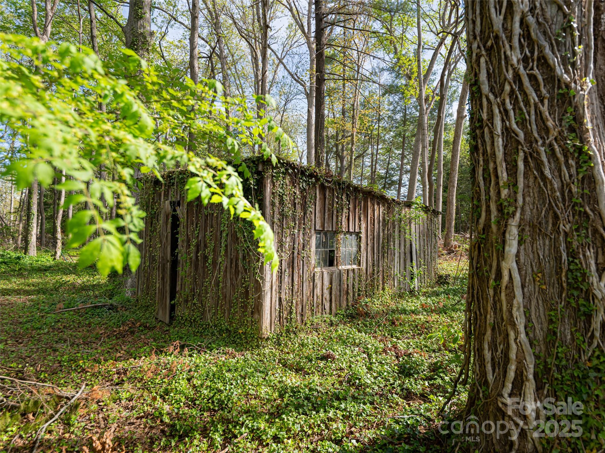 Biltmore Forest - Residential