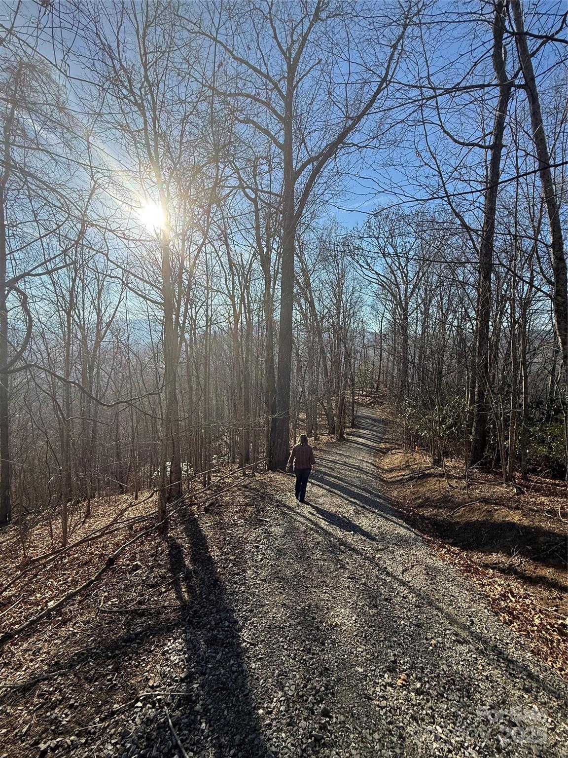 Rabbits Ridge - Land