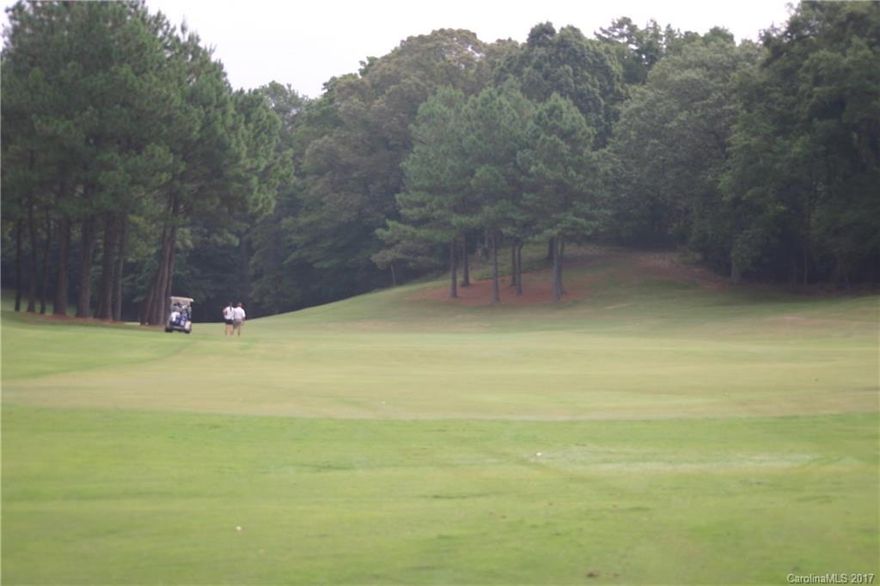 Beautiful unobstructed sloping wooded lot overlooking the 3rd Fairway of the Pines at the Tega Cay Golf Course. This lot can be sold individually or as package of 2 lots just waiting for that dream home to be built on a half acre. Fantastic neighborhood amenities which include walking trails, playgrounds, ball fields, tennis courts ,boat ramps and Marina nearby. No HOA!! Award winning Fort Mill School district. For community info, visit, www.tegacaysc.org