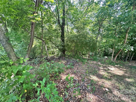 Photo of 7100 Colley Ford Lane #2, Charlotte, NC 28273 (MLS # 4393853)