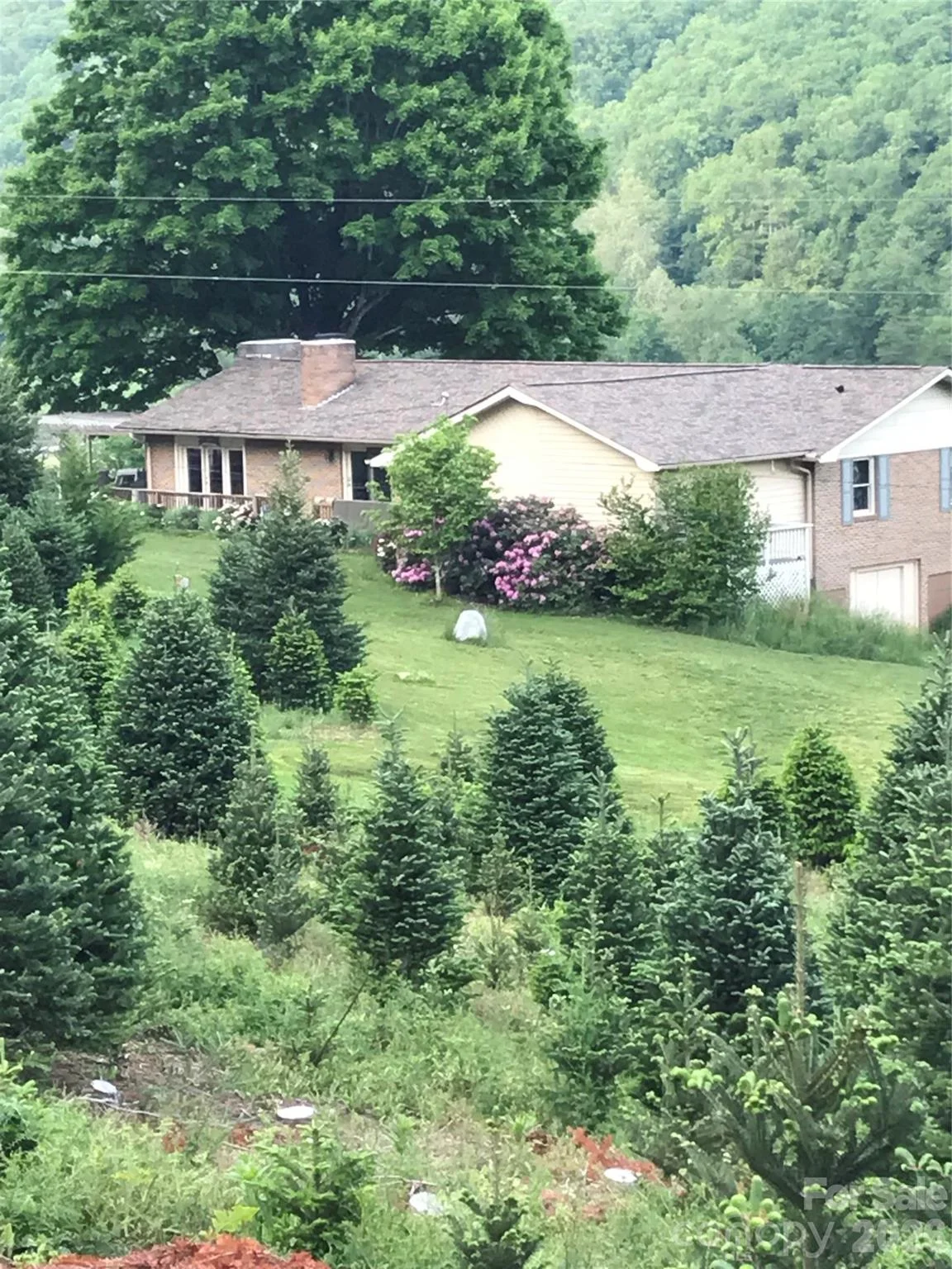 455 Avery Lane, Newland, NC, 28657