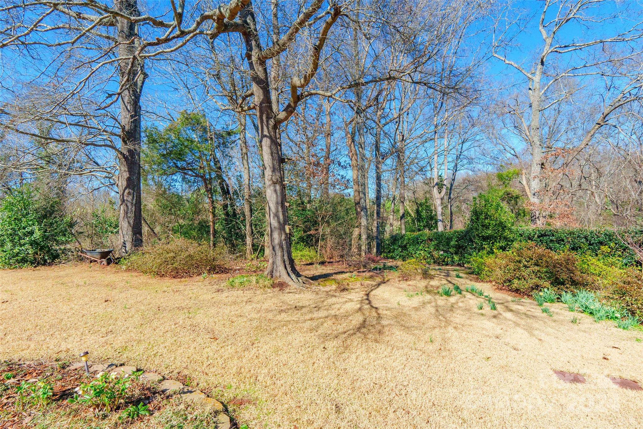 Poplar Forest - Residential