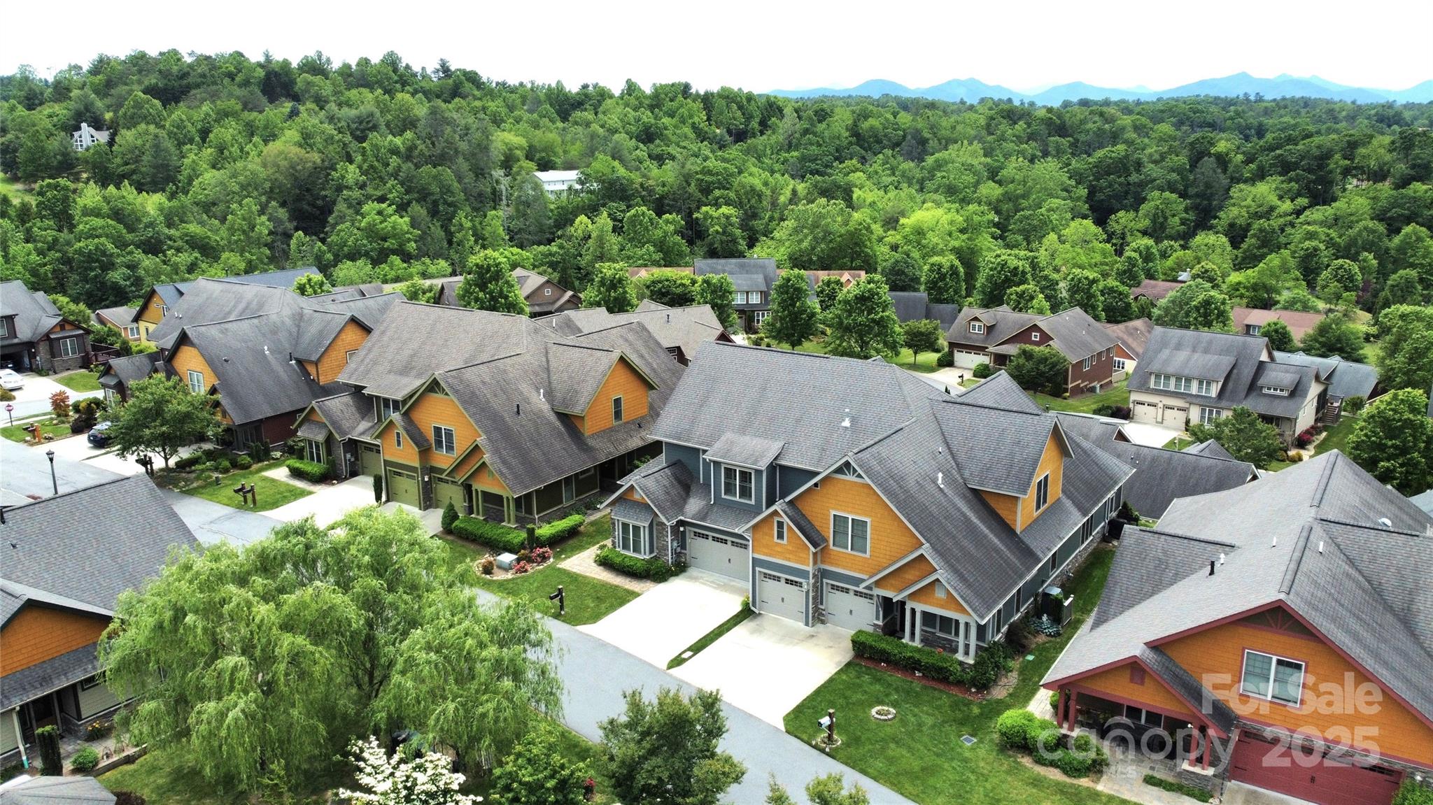 5 Holland Mountain View
