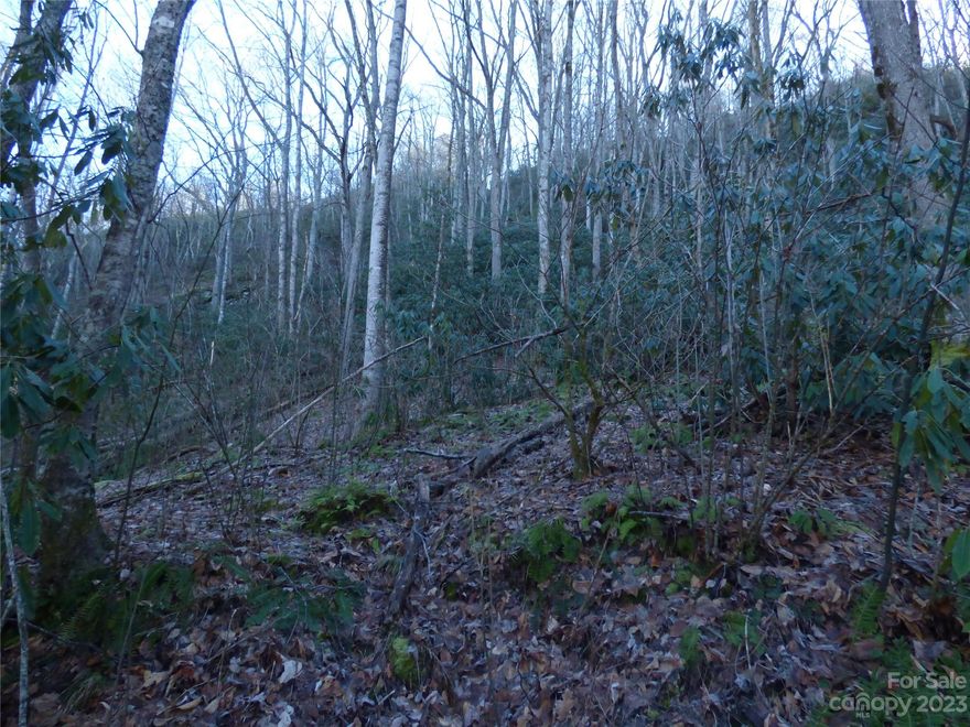 Located on lovely Barkers Creek, this property is within minutes to Historic Dillsboro and Sylva, Western Carolina University and Southwestern Community College. The Cherokee Indian Reservation is a 20 minute drive and gem mining in Franklin is 30 minutes away. Whether you are looking for a vacation spot or a permanent home in the mountains, come view this unique property!