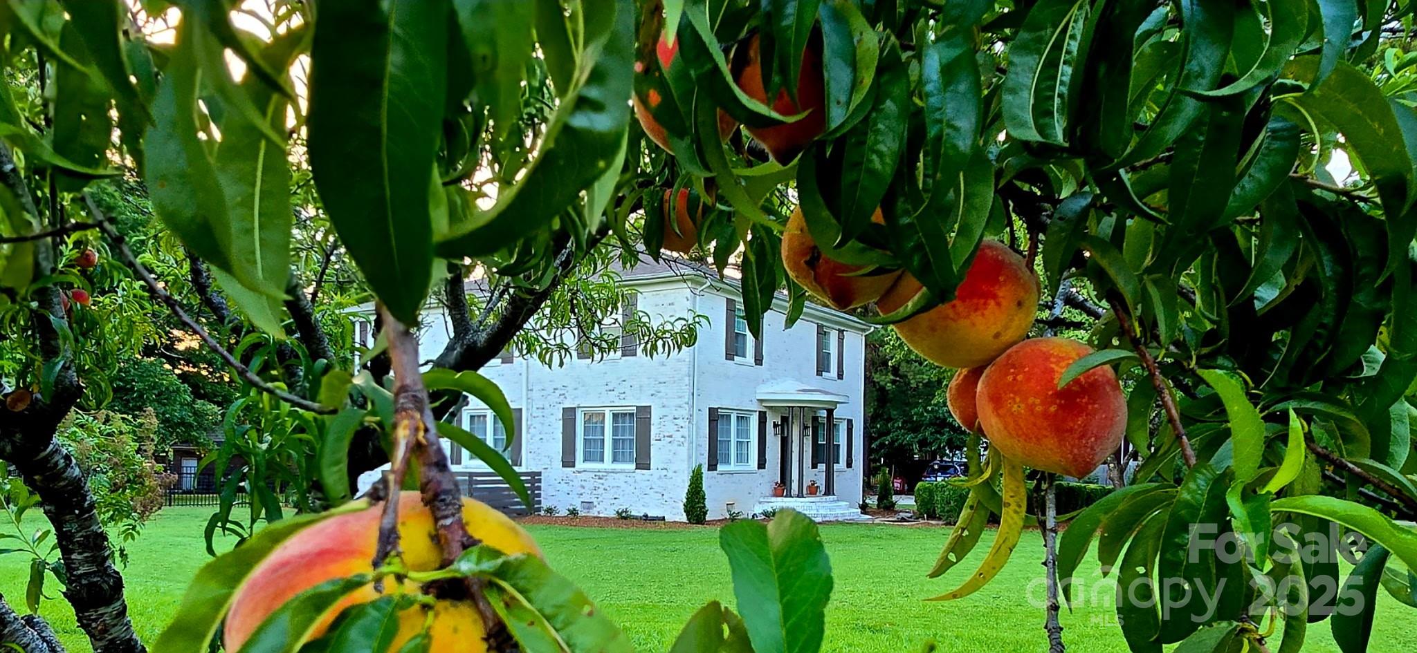 931 Museum Road