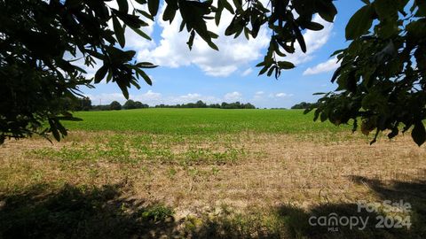 TBD Traywick Road Peachland NC 28133