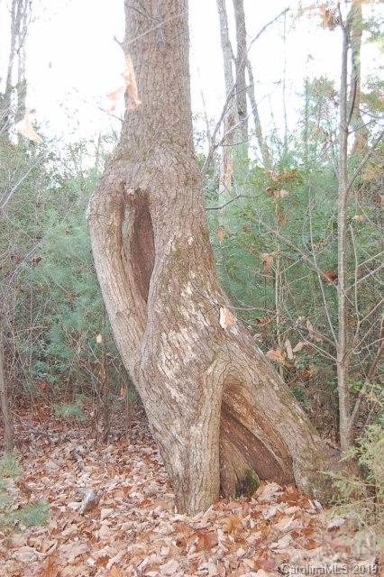 Morganton - Residential