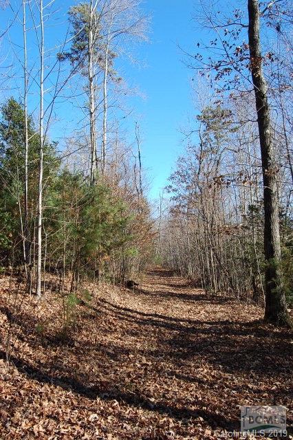 Morganton - Residential