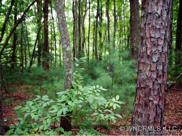 Ramble Biltmore Forest - Land
