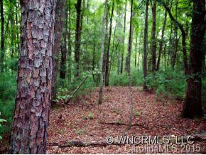 Ramble Biltmore Forest - Land