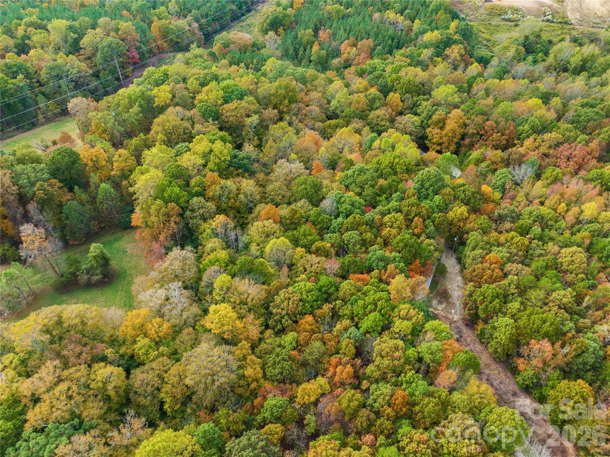 11113 Asbury Chapel Road