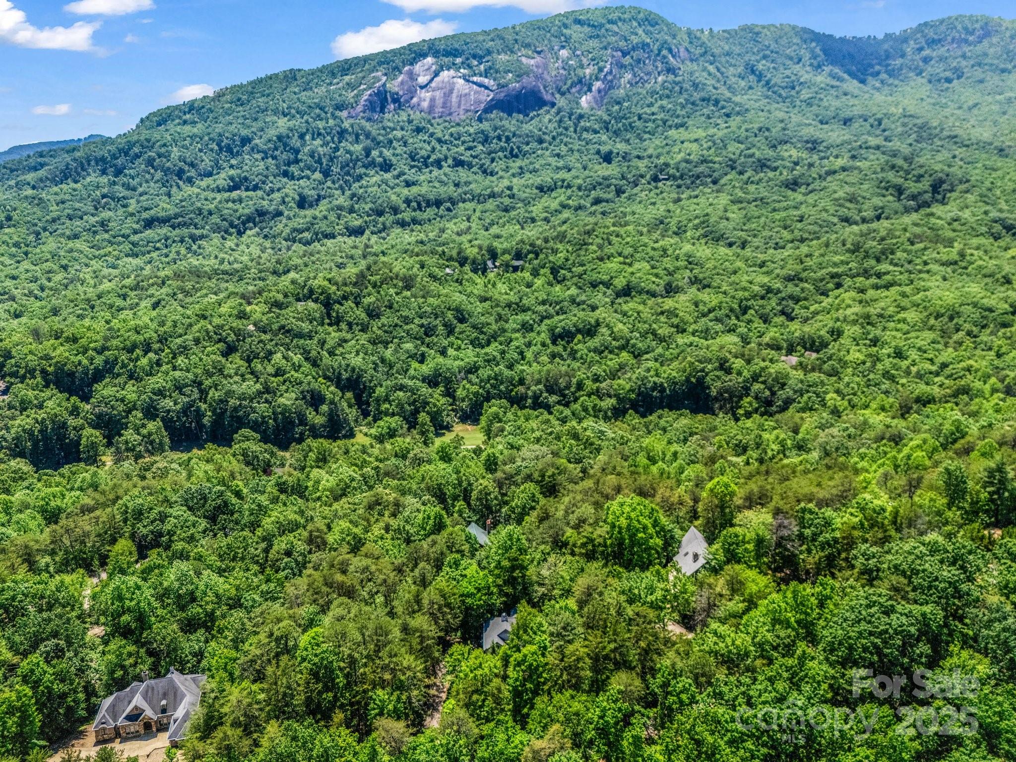 Rumbling Bald on Lake Lure - Residential