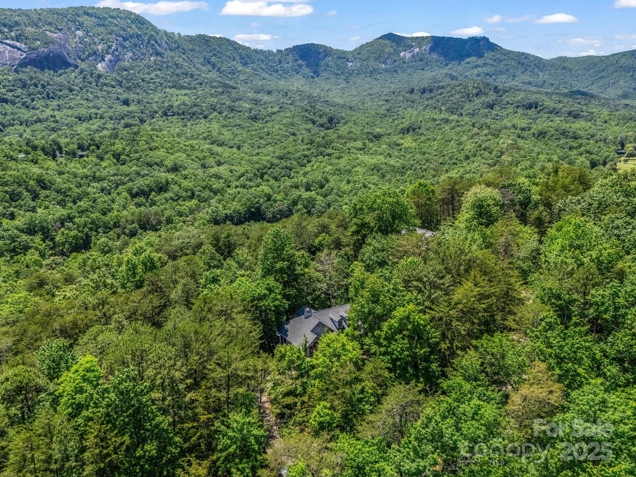 Rumbling Bald on Lake Lure - Residential