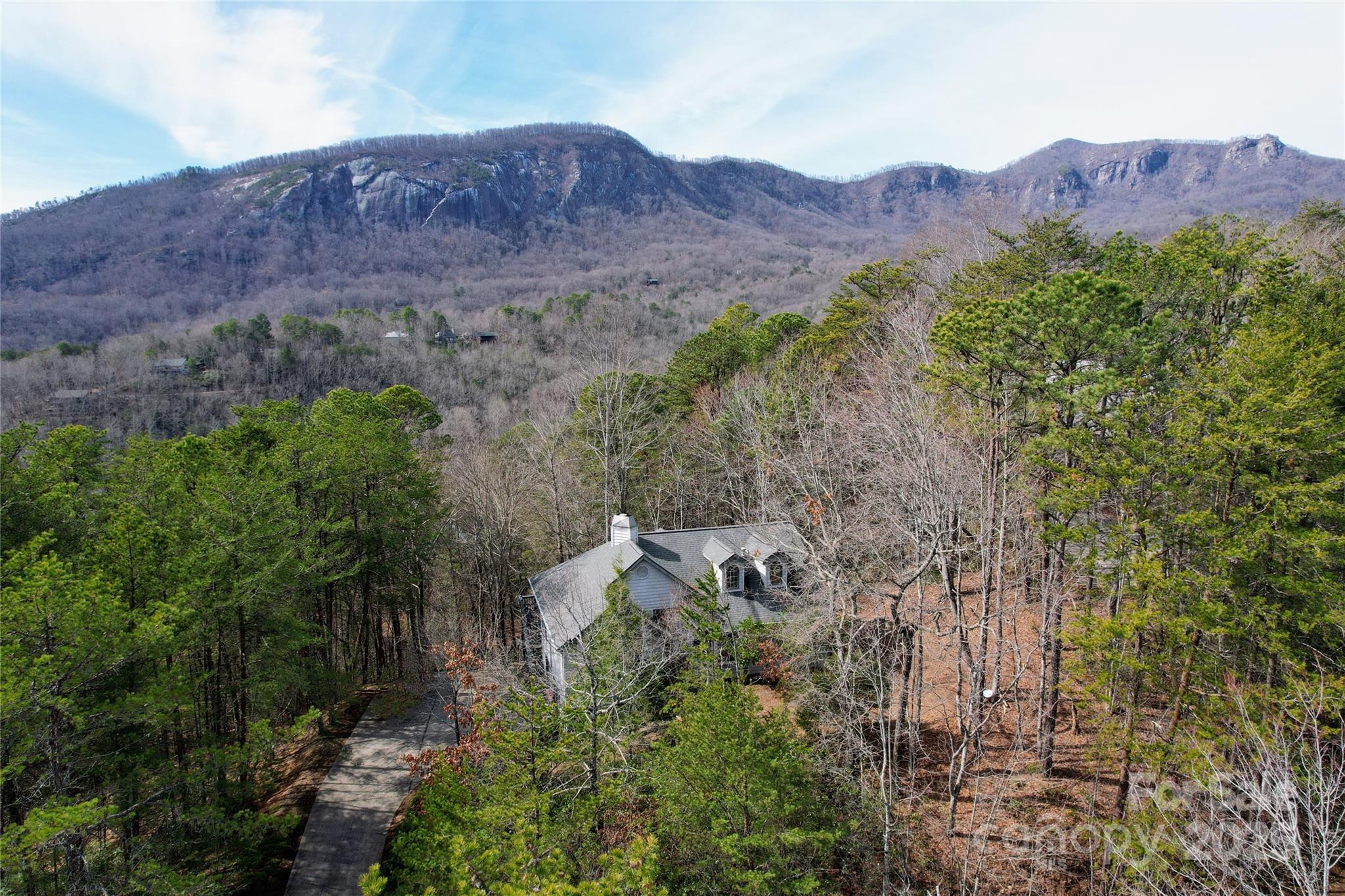 Rumbling Bald on Lake Lure - Residential