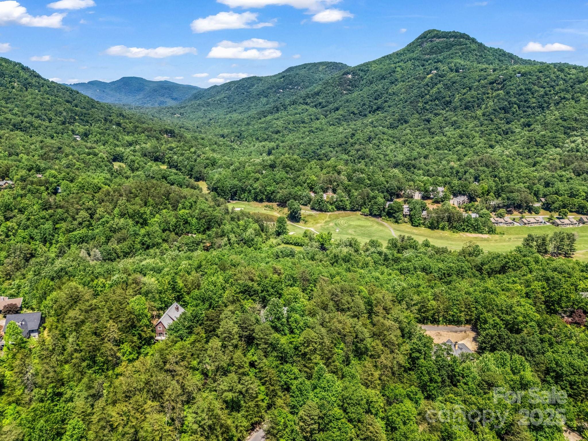 Rumbling Bald on Lake Lure - Residential