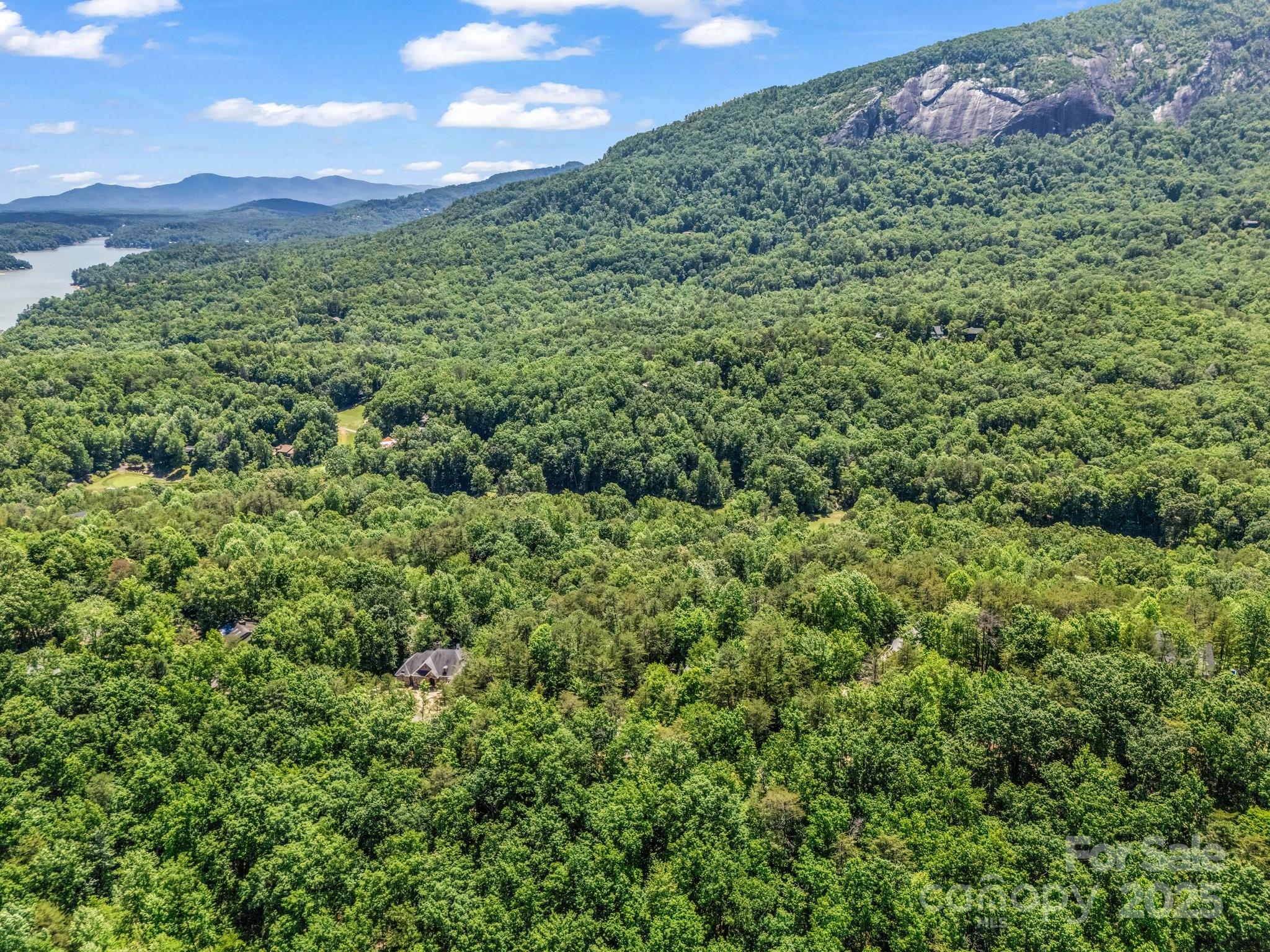 Rumbling Bald on Lake Lure - Residential