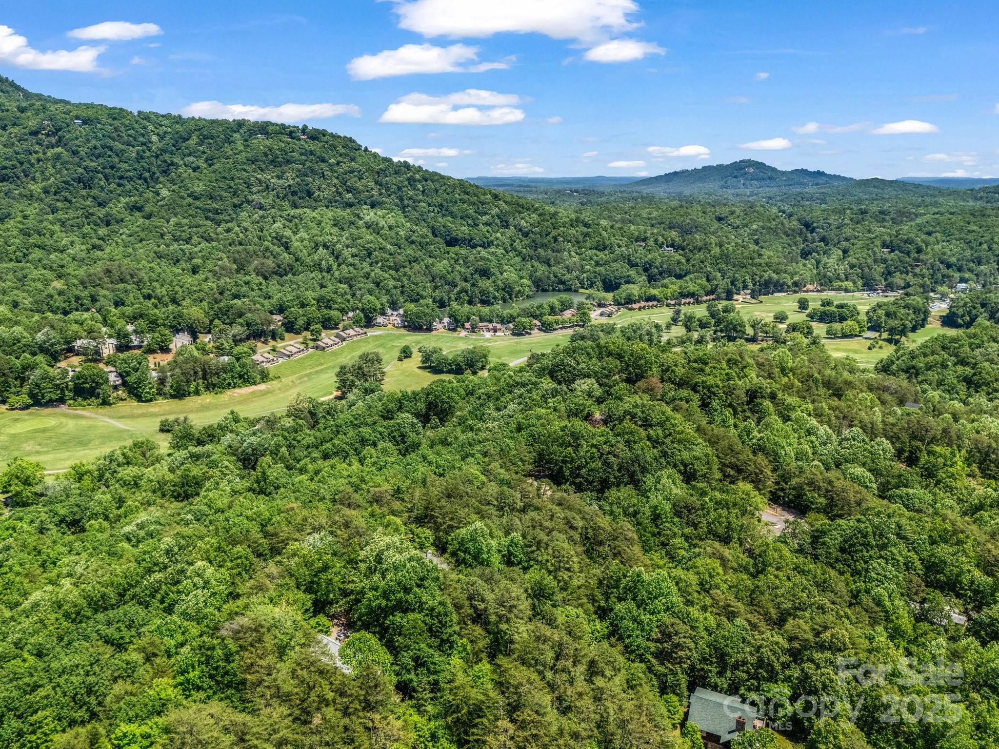 Rumbling Bald on Lake Lure - Residential