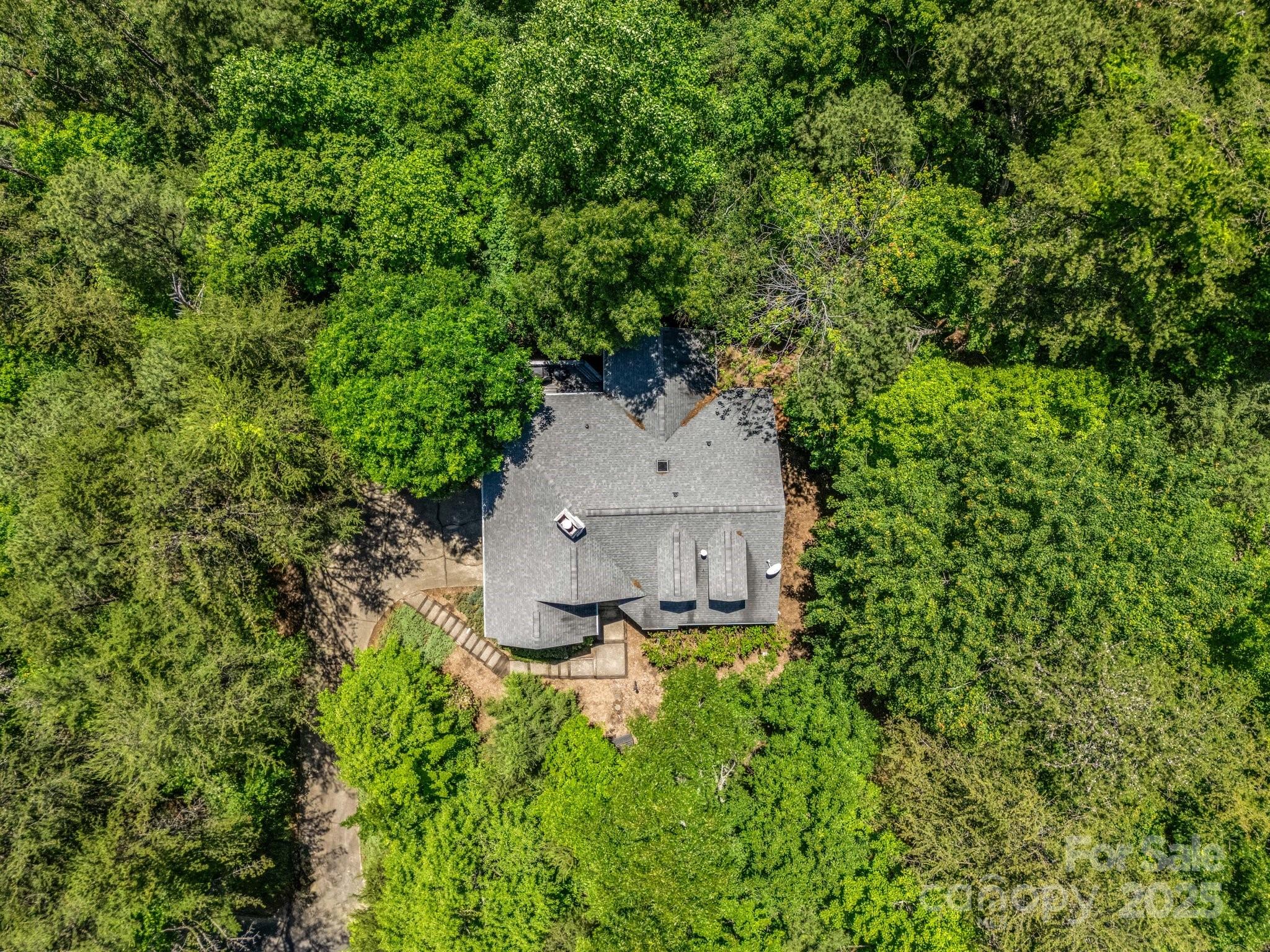 Rumbling Bald on Lake Lure - Residential